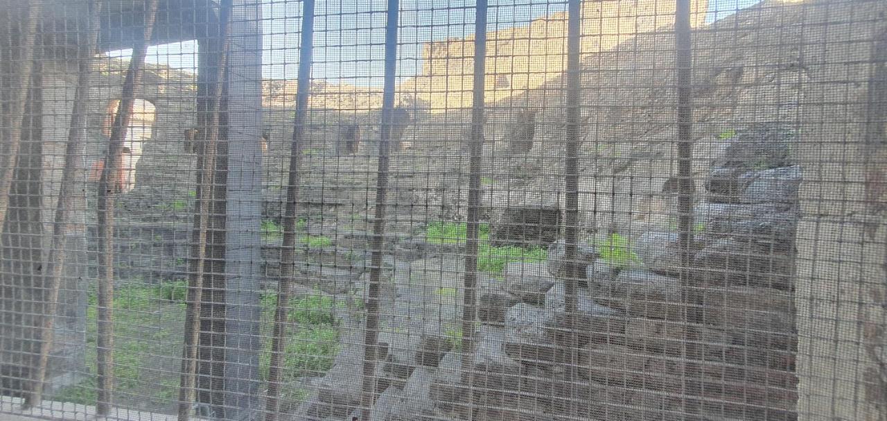 Domus Odeon La Casa Nel Parco Archeologico Di Catania Catânia Exterior foto